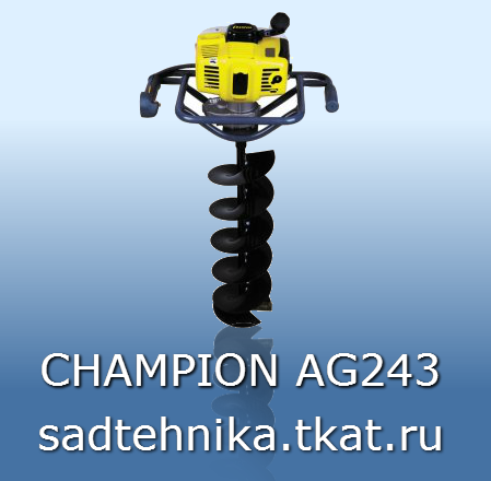  Champion Ag243  -  5